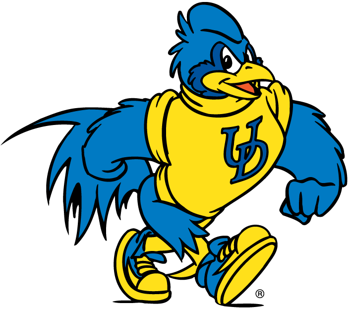 delaware blue hens 1993-pres mascot logo t shirts iron on transfers v5